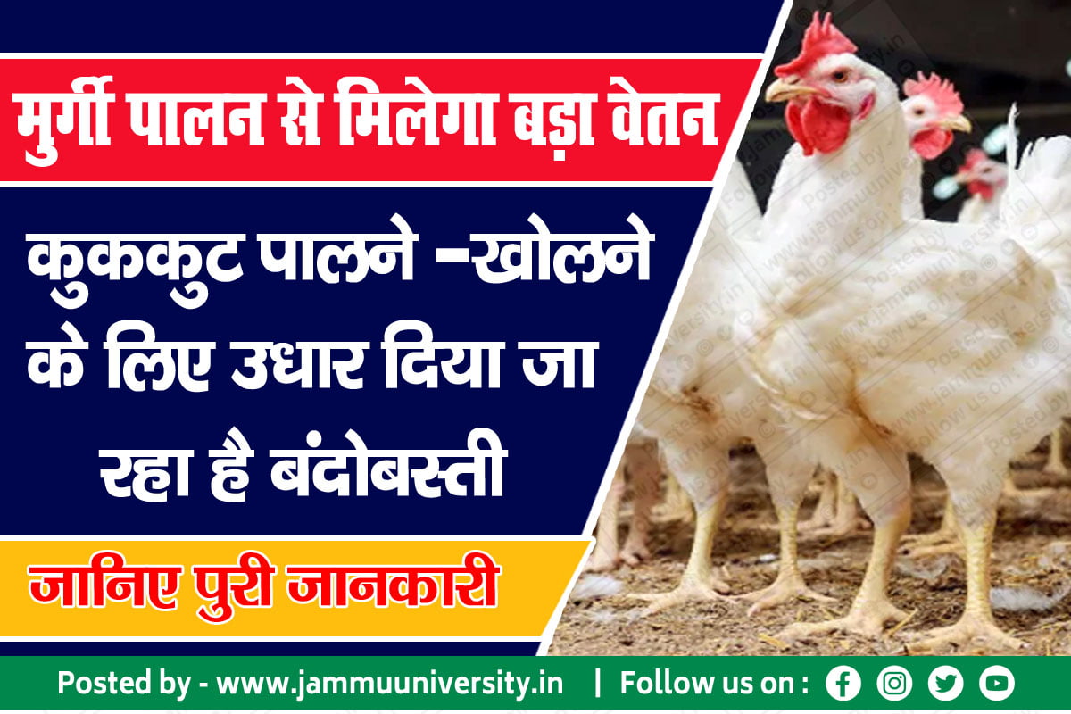 Poultry farming