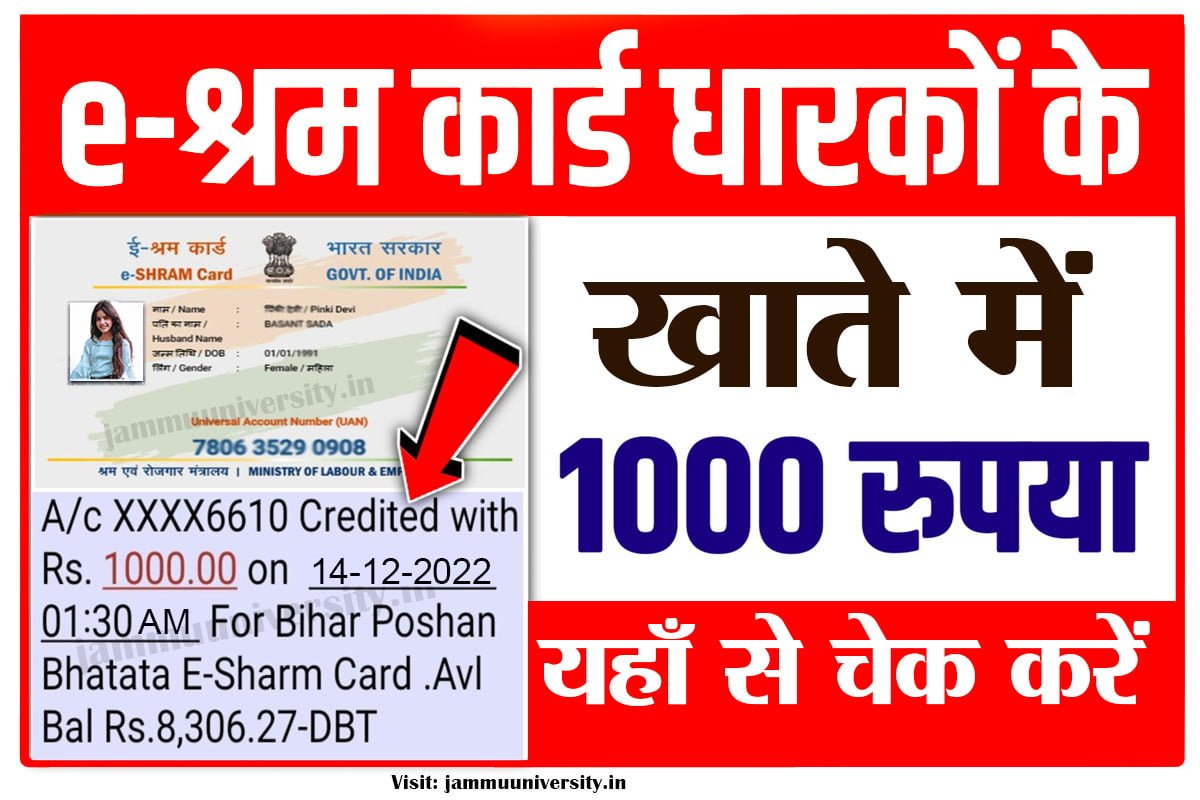 E Shram Card Balance Check Online,ई-श्रम कार्ड पेमेंट चेक,ईश्रम कार्ड का पैसा