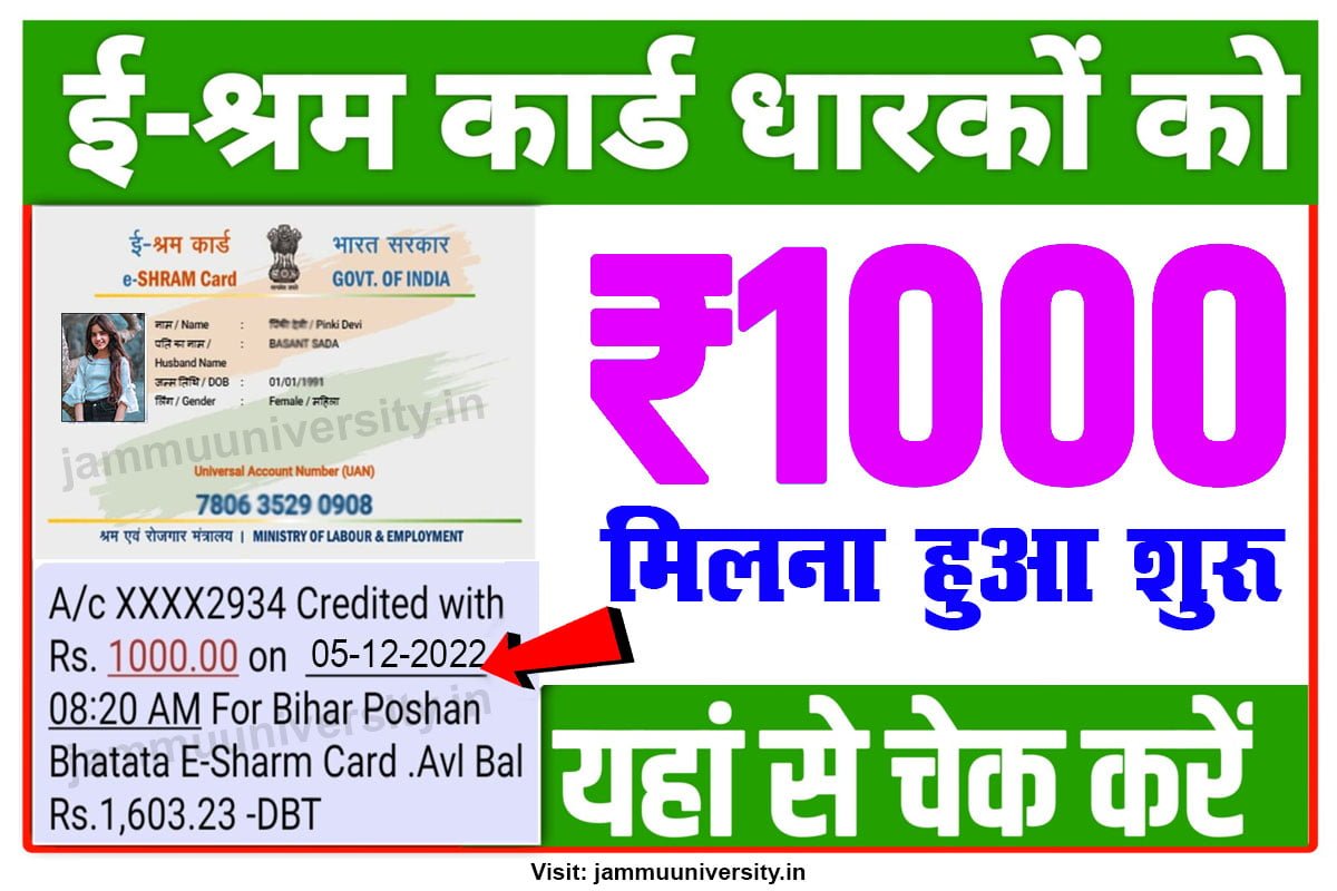 eshram card 1000 balance check,Eshram Card 1000 Balance Check | eshram card payment online | e shram | e shram portal | payment status check 2023