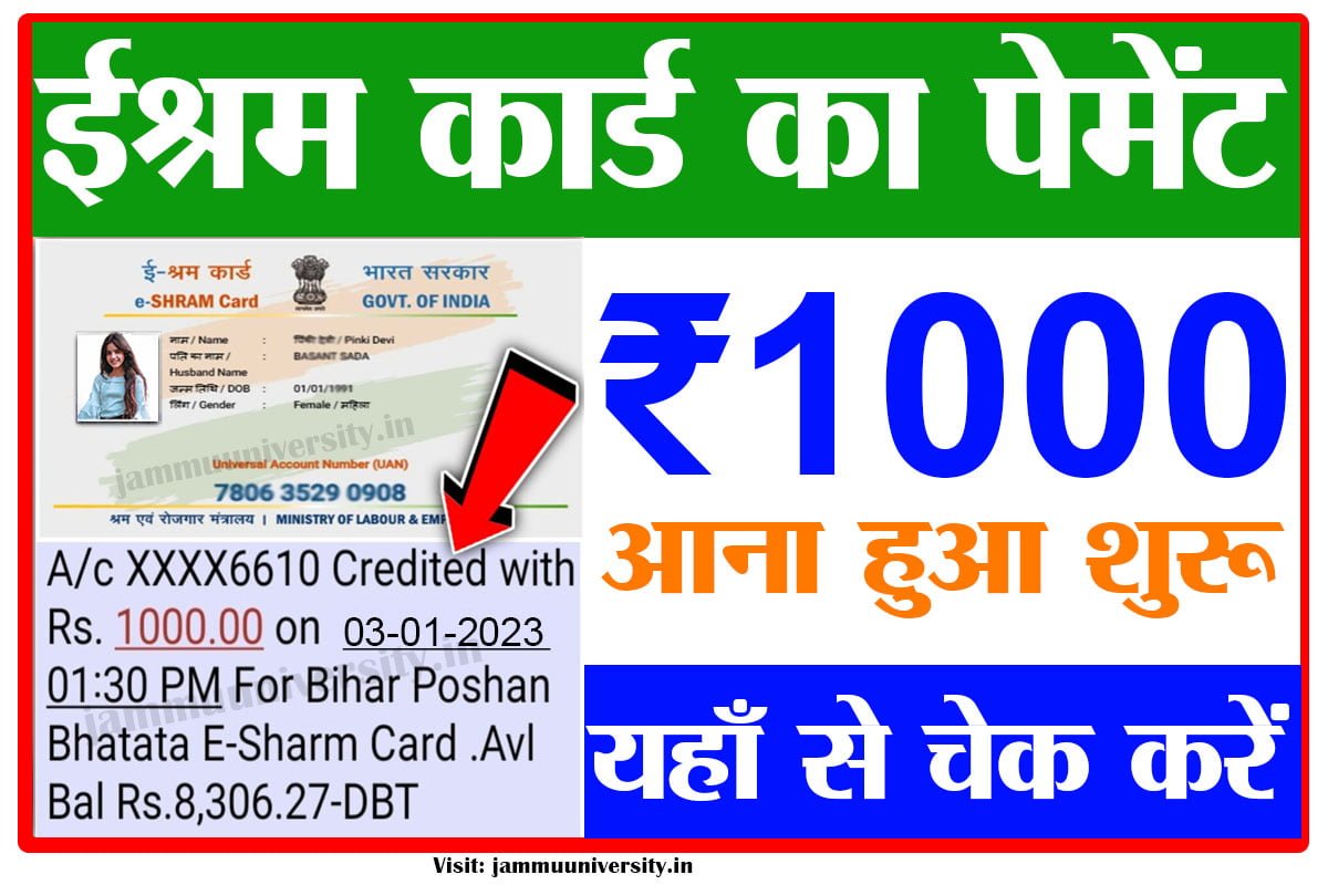 Eshram 1000 payment check,E-Shram Card List 2023