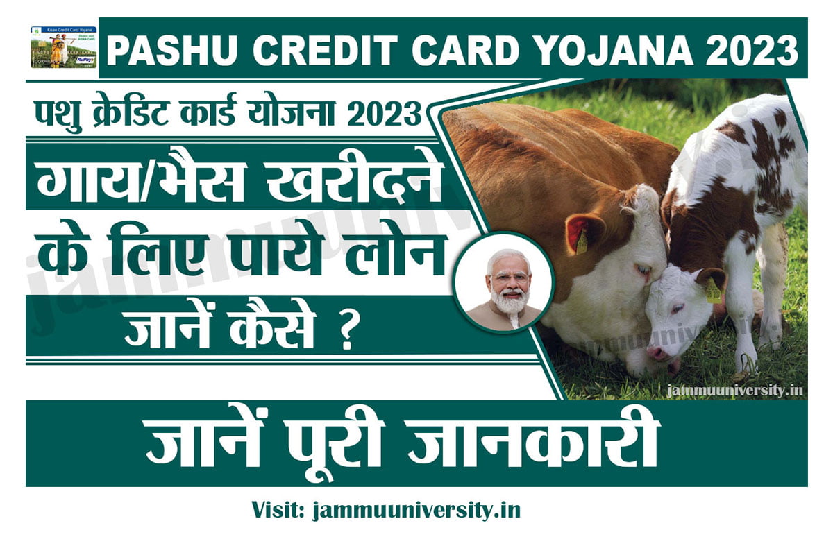 Pashu Credit Card Yojana 2023,KCC Online Apply 2023
