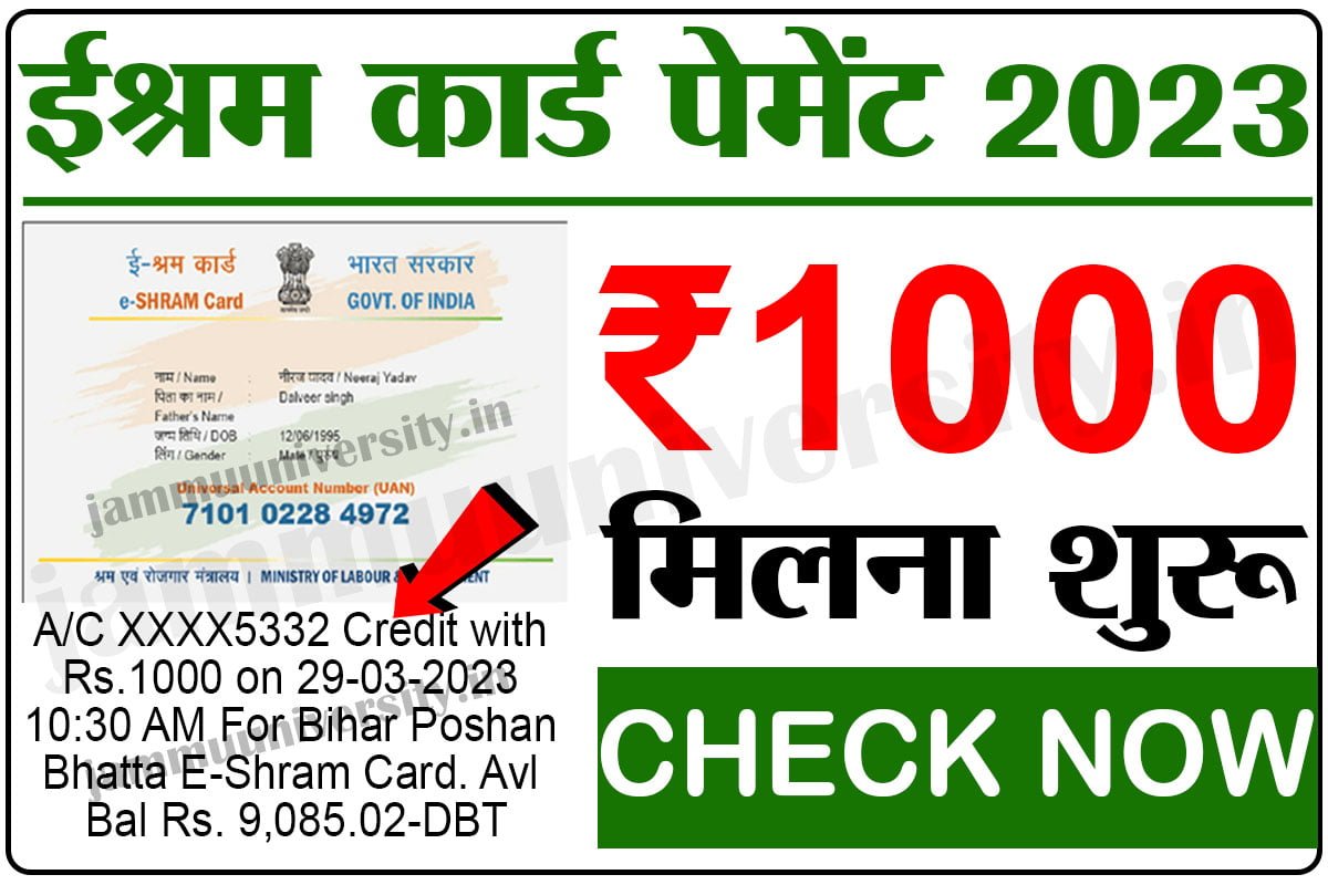 E Shram Card Payment Check, eshram card balance