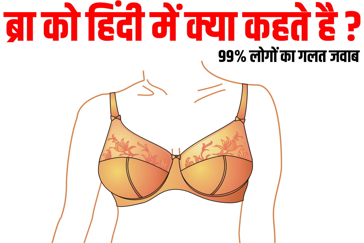 BRA Hindi Name,bra meaning in english,bra for women design
