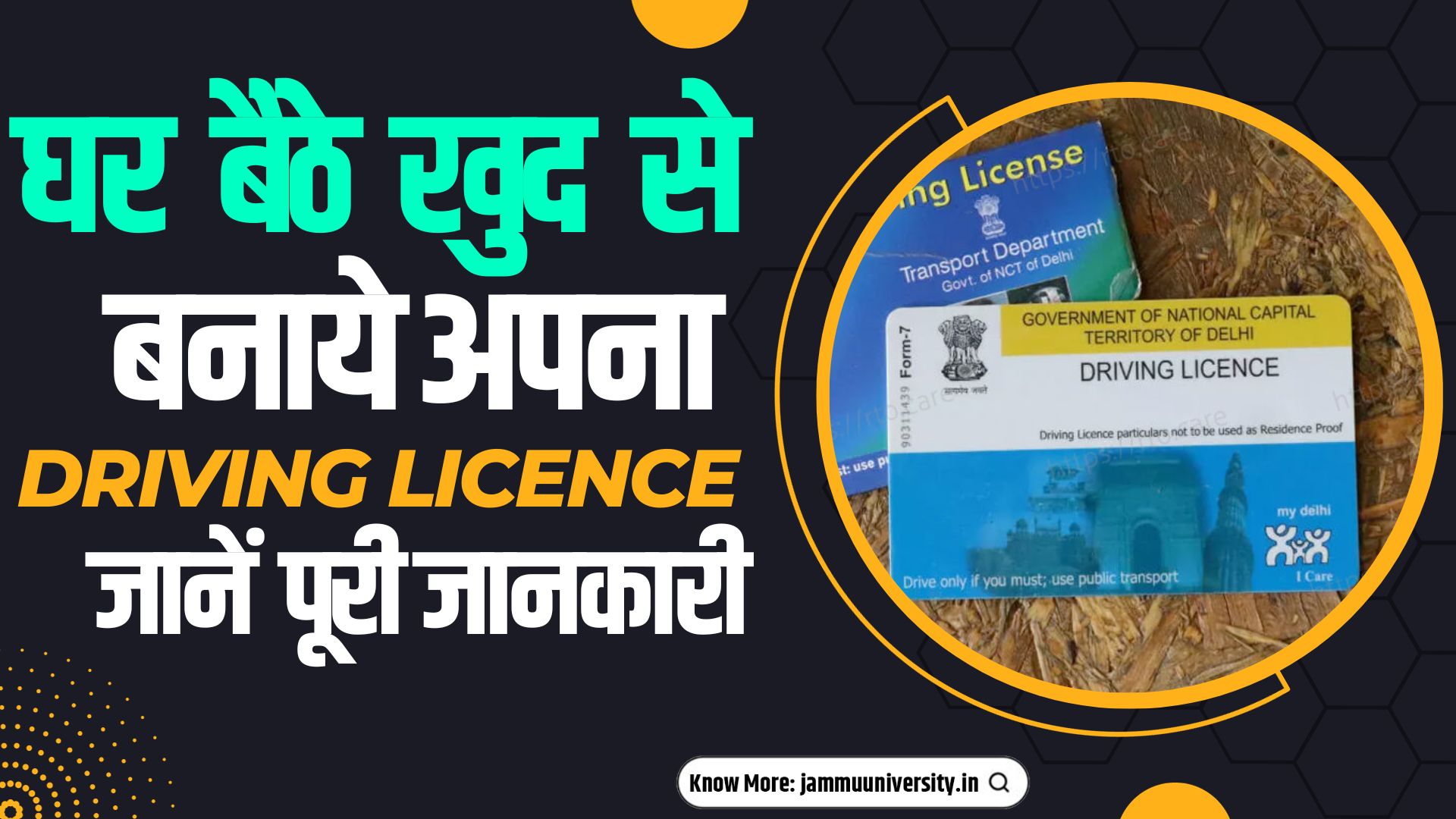 Driving License Online 2023 (1)