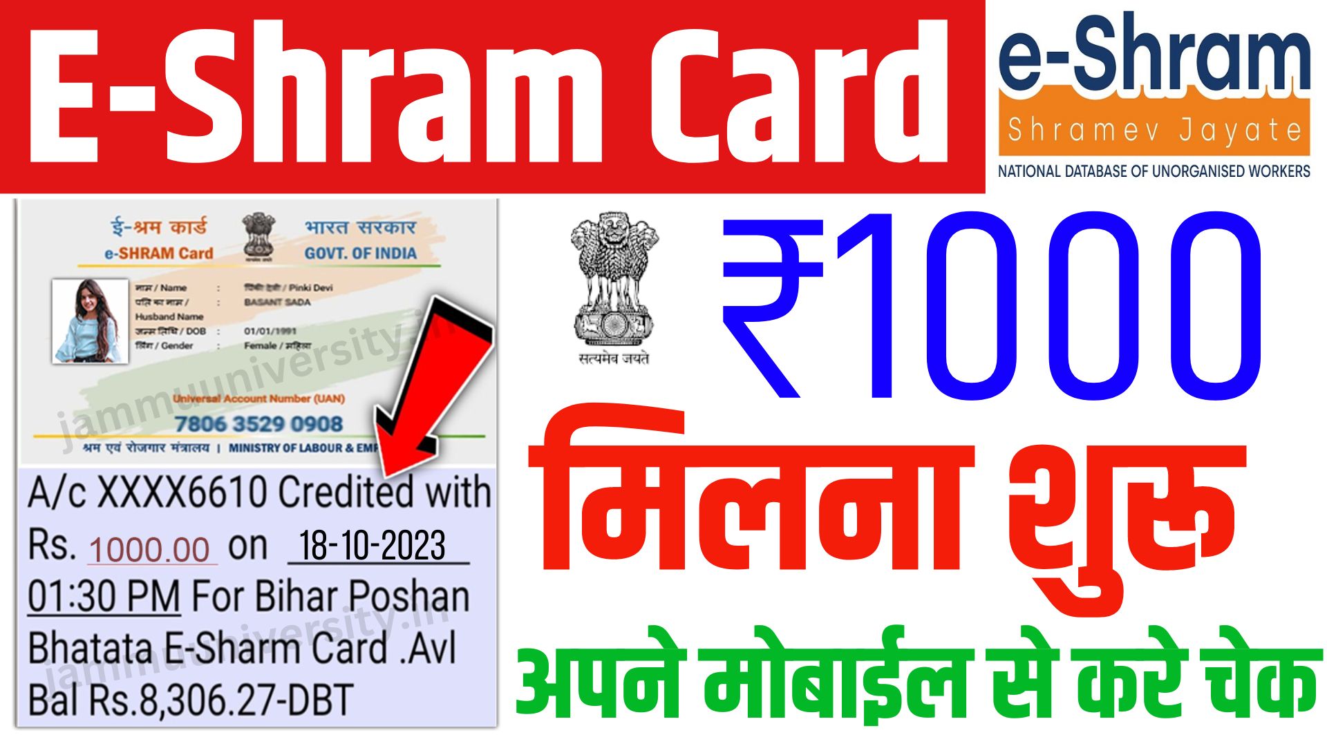 E Shram Card Check Balance