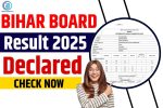 12th Result 2025 Declared